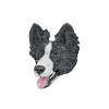Yakutian Laika