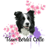 Team Border Collie