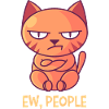 Bad mood cat