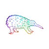 Short-beaked Echidna Australia