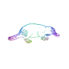 Platypus platypus