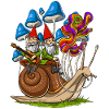 Champignons escargots gnomes
