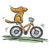 Chien à vélo
