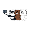 bear family