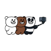 Bear family photo