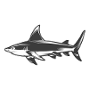 Shark shark