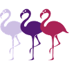 flamingos_001