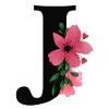 Alphabet J
