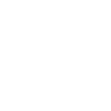 pudelpointer