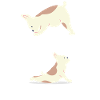 Bouledogues français de yoga