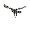 Aigle
