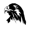 Eagle head eagle