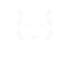 Tiger chinese zodiac