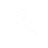 Snake chinese zodiac