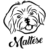Maltese