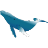 Humpback