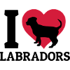 I love Labradors