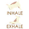 Inhale Exhale Yoga Frenchie