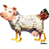 Egg-laying wool milk sow