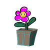 Flower Pot