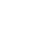 ski