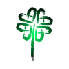 Shamrock symbol Celtic symbols