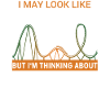 roller coaster
