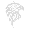 Falcon