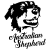 Australian shepherd