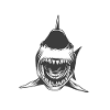 Requin requin