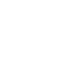 Mofa Evolution Moped