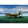 Thunderbolt P-47
