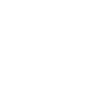 Bullterrier