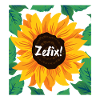 Zefix sunflower