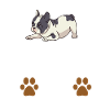 Cuddle Me French Bulldog