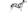 Dalmatien