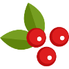 Berry