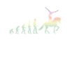 Reitschule Voltigieren Volti Evolution