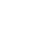 Avion pilote