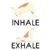 Inhale Exhale Yoga Bouledogue français