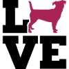 Jack Russell