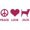 Jack Russell