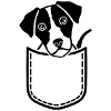 Jack Russell