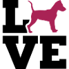 Pinscher nain