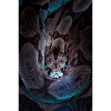 The Snake