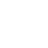 Poodle