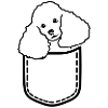 Poodle