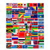 Drapeaux du monde entier 2