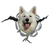 Schäferhund Weiss im *Metall-Loch*