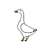 goose